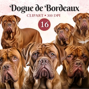 Clipart Bordeauxdog, Franse mastiff, hond silhouet glinsterende Clip Art, huisdier graphics, hond Vector, Canine clipart, schrootboek