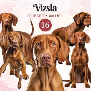 Clipart Vizsla, Vizsla húngaro, clipart de silhueta de cachorro, gráficos de animais de estimação, vetor de cachorro, clipart canino, livro de recortes
