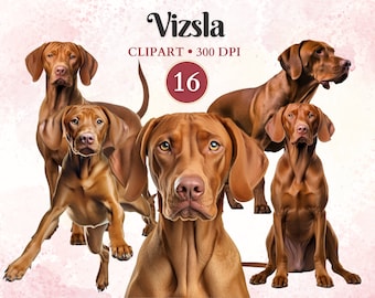 Vizsla Clipart, Hungarian Vizsla, Dog Silhouette Clip Art, Pet Graphics, Dog Vector, Canine Clipart, Scrap Book