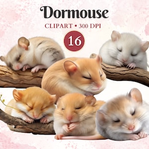 Clipart zevenslachtig, wilde dieren, bosdieren illustraties, zevenslaper, bosdieren, bos png, schrootboek