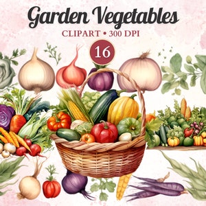 Clipart de légumes du jardin, aquarelle, png, alimentation saine, végétarien, végétalien, salade, végétarien, jardin, ferme, agriculture