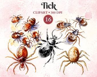 Tick Clipart: Entomology Vector Images (PNG)