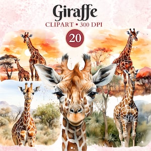 Clipart giraffa, clipart Safari acquerello, giraffa Png, clipart animali Safari, set, savana, africano, Png trasparente, download istantaneo