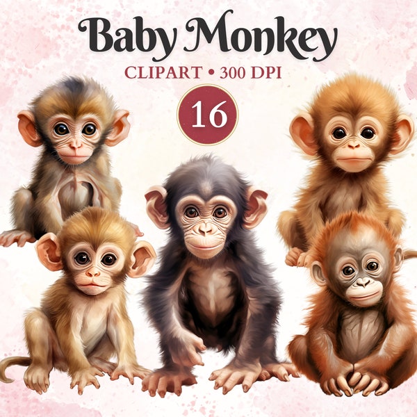 Baby Monkey Clipart, Jungle, Safari Animals, Baby Safari Png, Nursery, Gender Reveal Decoration, Birthday Invitation