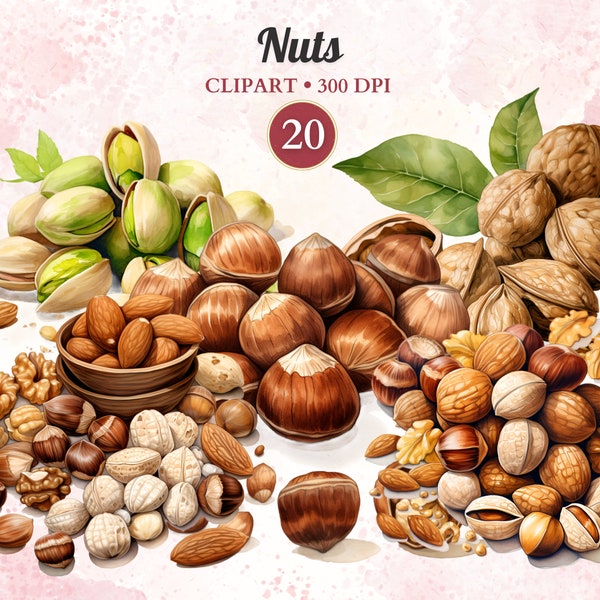 Nuts Clipart, Nut Illustration, Hazelnut, Little Peanut, Walnut Png, Almond Png, Watercolor Almond, Healthy Snack, Dried Fruit