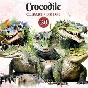 Crocodile Clipart, Crocodile Png, Alligator Png, Reptile Clipart, Jungle Animal, Forest Animal, Jungle Safari Png