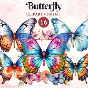 Clipart De Mariposa, Mariposa Png, Clipart De Insectos, Silueta, Entomología, Vector Animal, Naturaleza, Ilustración Científica