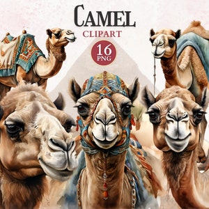 Clipart di cammello, Png di cammello, Clipart dell'Antico Egitto, Png del deserto, Vettore di animali, Png storico, Libro di ritagli