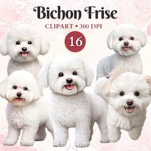 Imágenes Prediseñadas de Bichon Frise, arte de perro esponjoso, gráficos de mascotas, arte vectorial de perros, gráficos de animales, imágenes prediseñadas de perros pequeños, libro de chatarra