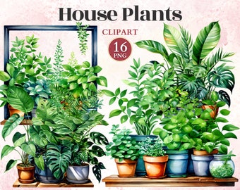 House Plants Clipart, Garden Graphics, Garden Designs, Gardening Icons, Terrarium Clipart, Succulent Png, Potted Plants
