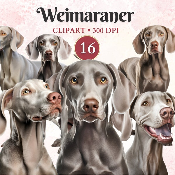 Weimaraner Clipart, Weimaraner Png, Dog Silhouette Clip Art, Pet Graphics, Dog Vector, Canine Clipart, Scrap Book