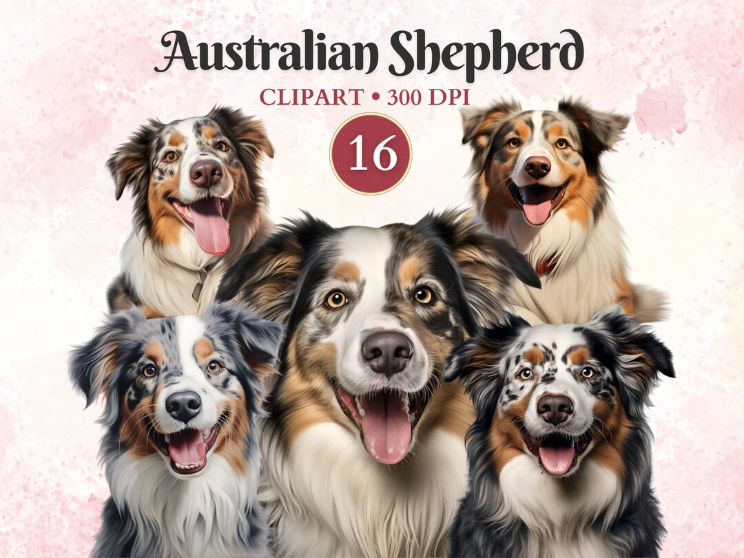 Australian Shepherd Clipart, Shepherd Silhouette, Aussie Dog, Pet ...