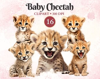 Baby Cheetah Clipart, Jungle, Safari Animals, Baby Safari Png, Nursery, Gender Reveal Decoration, Birthday Invitation