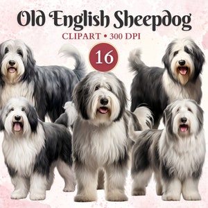 Imágenes Prediseñadas de perro pastor inglés antiguo, perro pastor, arte de perro pastor, gráficos de mascotas, arte vectorial de mascotas, imágenes prediseñadas caninas, libro de chatarra