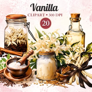 Vanille clipart, specerijen clipart, specerijen png, specerijeningrediënten, kruiden, potten, kookillustratie, kruiderij, culinair, voedsel, aquarel