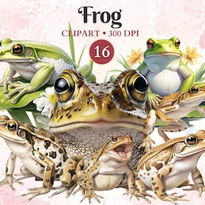 Clipart grenouille, Png grenouille, vecteur de grenouille, clipart amphibiens, marais, étang, silhouette animale, vecteur animal, herpétologie