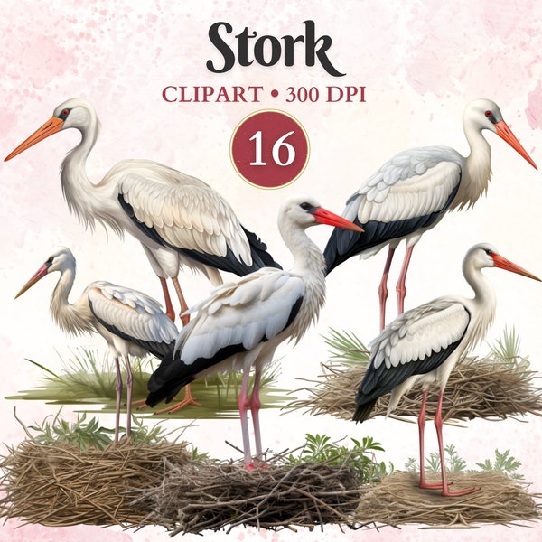 Stork Clipart, Stork Png, African Animals, Bird, Jungle Clip Art, Exotic Animal, Zoo Animal Png, Newborn Clipart