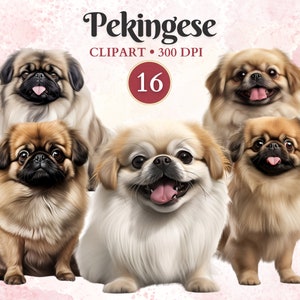Pekinés Clipart, Pequinés Png, Raza de Perro Png, Gráficos de Mascotas, Vector de Perro, Imágenes Prediseñadas Caninas, Libro de Chatarra