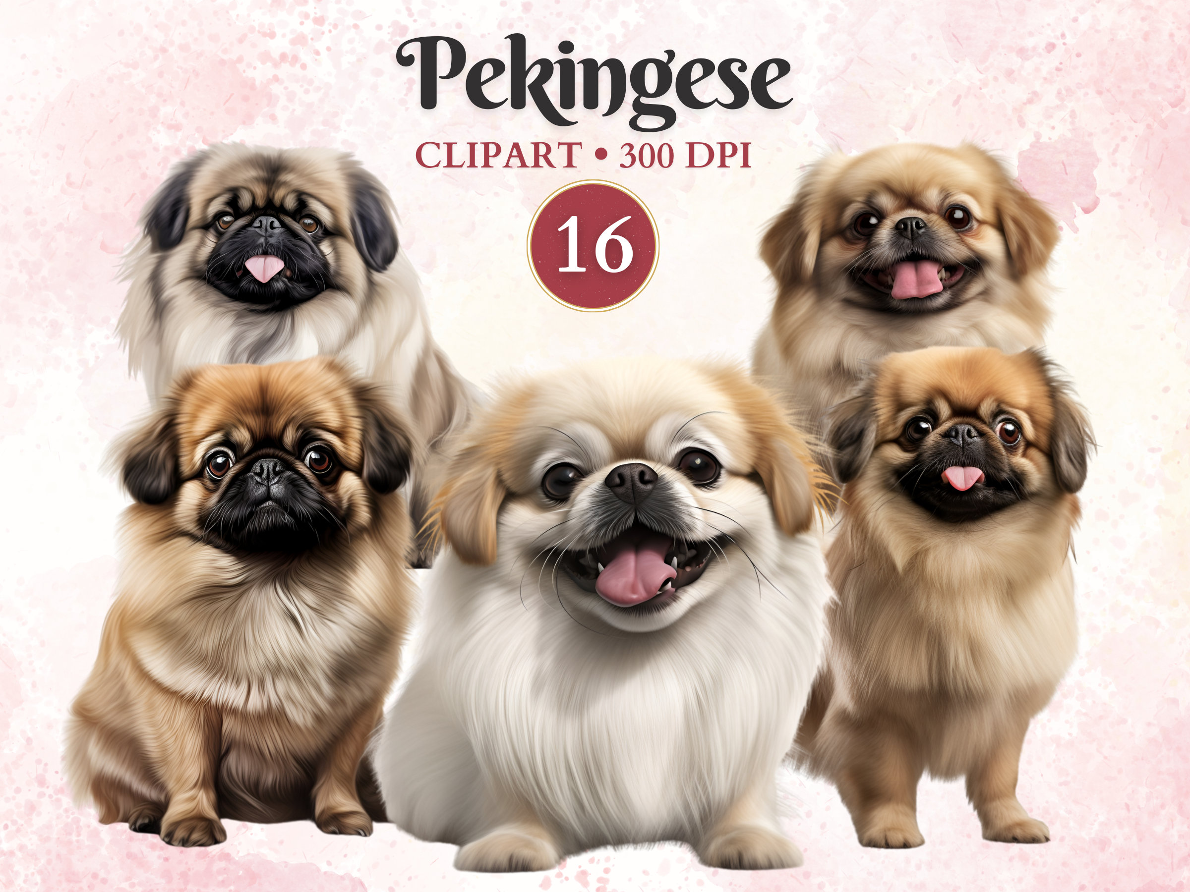 Pekingese Clipart, Pekingese Png, Dog Breed Png, Pet Graphics, Dog Vector, Canine Clipart, Scrap Book