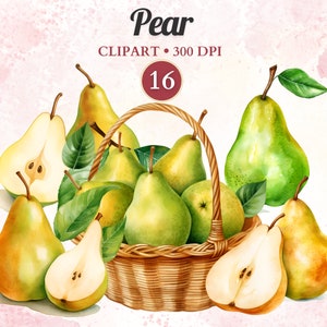 Clipart di pera, raccolta, pera Png, frutta ad acquerello, clipart di agricoltura, dolce delizia, Png trasparente, album di ritagli