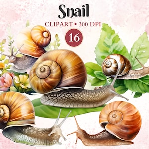 Clipart slak, slak png, slak afbeelding, insect clipart, silhouet, entomologie, dierlijke vector, natuur, wetenschappelijke illustratie