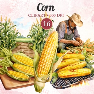 Clipart Maïs, Aquarelle, Légumes Png, Alimentation Saine, Végétal, Végétalien, Salade, Végétarien, Jardin, Ferme, Agriculture