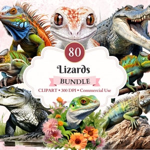 Peut inclure: Un lot de 80 images numériques de lézards et d'alligators. Les images sont en 300 DPI et à usage commercial. L'image montre une variété de lézards et d'alligators dans différentes poses et couleurs.