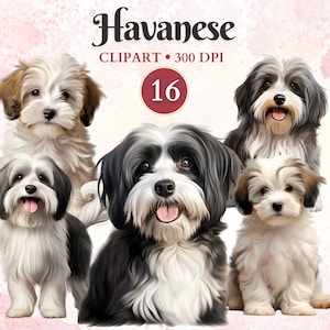 Habanero Clipart, Habanero Png, Gráficos de mascotas, Arte vectorial de perros, Gráficos de animales, Imágenes prediseñadas de perros pequeños, Libro de recortes