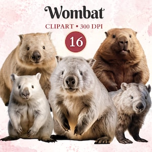 Wombat Clipart, lindo diseño de Wombat, animales salvajes, imágenes prediseñadas de vida silvestre, animales australianos, bosque png, libro de recortes