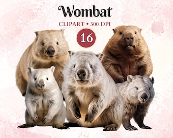 Wombat Clipart, Söt Wombat Design, Vilda Djur, Vilda Djur Clipart, Australiensiska Djur, Skog Png, Scrapbook