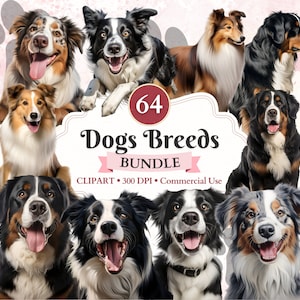 Hunderassen Clipart Bundle, Border Collie, Shetland Sheepdog, Berner Sennenhund, Australian Shepherd, Canine Clipart