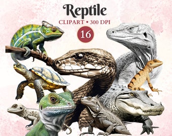 Reptile Clipart, Snake Clipart, Snake Png, Serpent Silhouette, Lizard Png, Forest Animal, Animal Vector, Herpetology