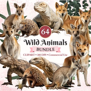 Wild Animals Clipart Bundle, Australian Wildlife, Dingo, Wallaby, Komodo Dragon, Echidna, Lizard Png, Commercial Use