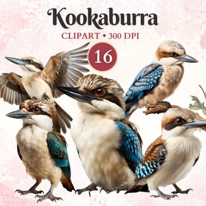 Kookaburra Clipart, Kookaburra, Animales Salvajes, Vida Silvestre, Animales Australianos, Australia Png, Libro de Chatarra