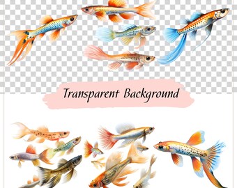 Guppy Clipart, Fish Png, Fish Digital Clipart, Aquarium, Vector