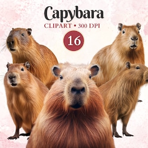 Imágenes Prediseñadas de capibara, animales domésticos, capibara lindo, imágenes prediseñadas de roedores, gráficos de roedores, gráficos de animales, libro de recortes