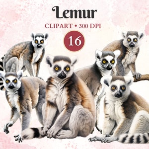 Clipart lémuriens, lémuriens Png, animaux de la jungle, singe Png, animaux de safari, clipart zoo, chambre d'enfant, faire-part d'anniversaire