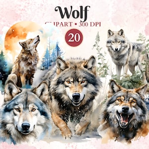Clipart de loup, aquarelle, png de loup, tête de loup, animal de la forêt, clipart animaux de la forêt, vecteur animal, sublimation