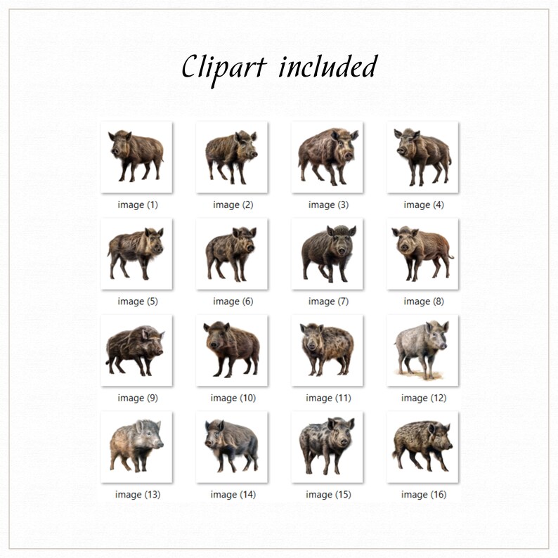 Wild Boar Clipart, Wild Animals, Boar Vector, Wildlife Clipart, Forest ...