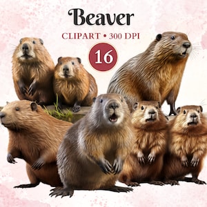 Imágenes Prediseñadas de castor, animales salvajes, silueta de castor, imágenes prediseñadas de vida silvestre, bosque Png, criatura del bosque, libro de recortes