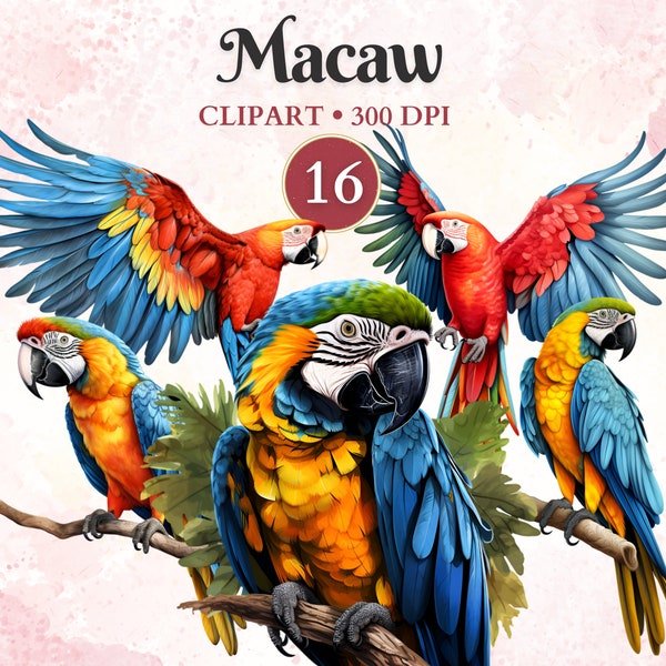 Macaw Clipart, Parrot Png, Tropical Bird, Jungle Clip Art, Forest Animal, Bird Clipart, Exotic, Zoo Animals Illustration