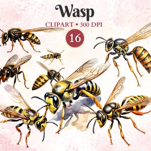 Clipart Guêpe, Image De Guêpe, Image De Guêpe, Clipart Insecte, Silhouette, Entomologie, Animal Vectoriel, Nature, Illustration Scientifique