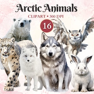 Clipart de animales árticos, zorro blanco, animales polares, oso polar png, polo norte, invierno, imágenes prediseñadas de vida silvestre, libro de recortes