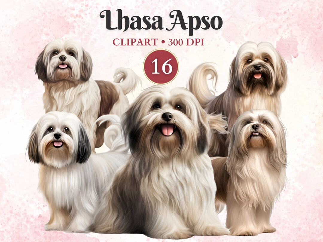 Lhasa Apso Clipart, Lhasa Apso Png, Dog Breed Png, Pet Graphics, Dog ...
