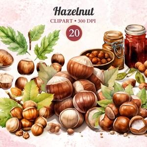 Clipart orzecha laskowego, ilustracja orzechów, zdrowa żywność, zdrowa przekąska, suszone owoce, clipart wiewiórki