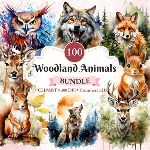 Pacchetto Clipart animali del bosco, volpe, lupo, cervo, gufo, scoiattolo, giungla, animale della foresta, clipart animale, vettore animale