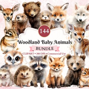 Bundle de cliparts bébés animaux de la forêt, animaux de la forêt, renard, ours, loup, raton laveur, loutre, écureuil, cerf, usage commercial