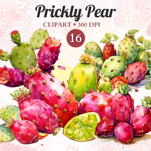 Clipart di fico d'india, succulente, cactus, frutta dell'acquerello, cibo sano Png, cibo naturale, dolce delizia, libro di ritagli