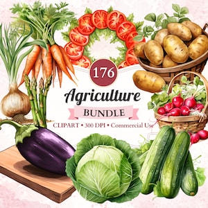 Ensemble de cliparts agriculture, Légumes, Png d'aliments sains, Végétarien, Végétalien, Salade, Végétarien, Jardin, Ferme, Usage commercial