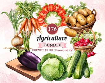 Agriculture Clipart Bundle, Vegetables, Healthy Food Png, Veggie, Vegan, Salad, Vegetarian, Garden, Farm, Commercial Use